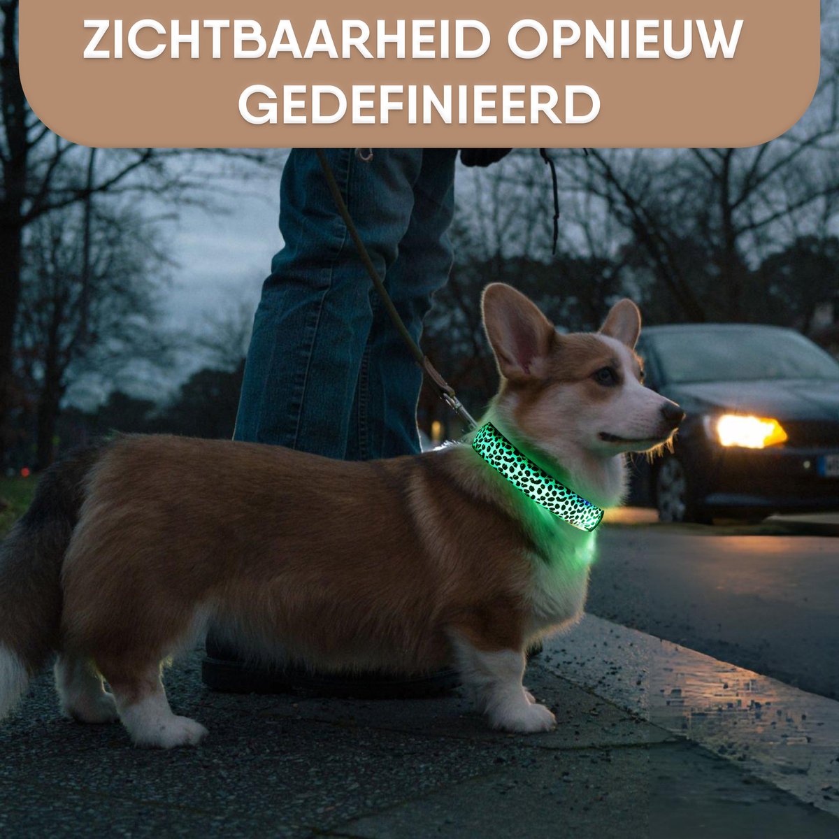 Furley’s Lichtgevende LED Hondenhalsband - Maat L - Wit - 3 Lichtstanden – foto 3